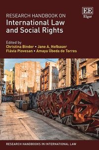 bokomslag Research Handbook on International Law and Social Rights