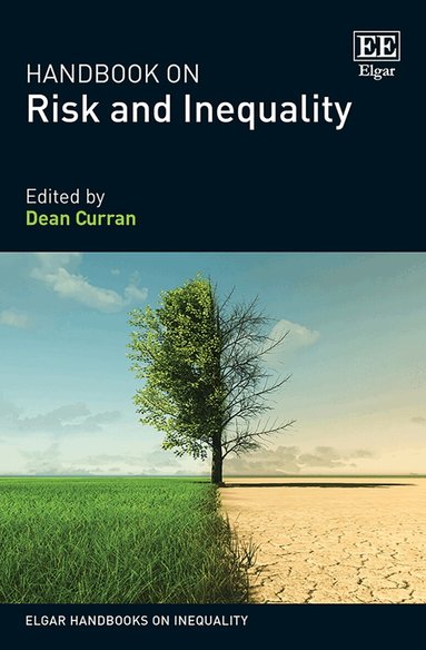 Dean Curran - Handbook on Risk and Inequality, Inbunden