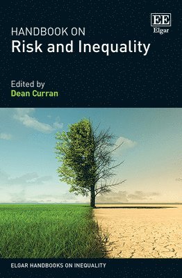 bokomslag Handbook on Risk and Inequality