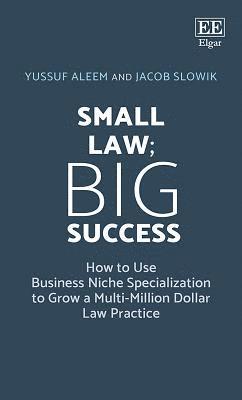 bokomslag Small Law; Big Success