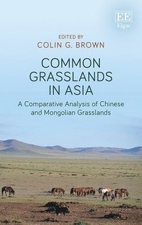 bokomslag Common Grasslands in Asia