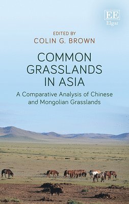 bokomslag Common Grasslands in Asia