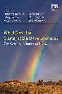 bokomslag What Next for Sustainable Development?