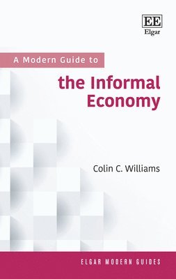 Colin C. Williams - Modern Guide to the Informal Economy, Inbunden