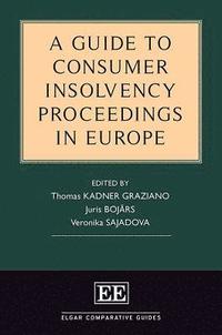 bokomslag A Guide to Consumer Insolvency Proceedings in Europe