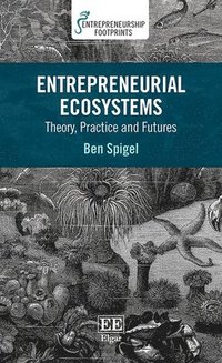 bokomslag Entrepreneurial Ecosystems