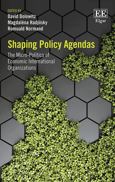 David Dolowitz, Magdaléna Hadjiisky, Romuald Normand - Shaping Policy Agendas, Inbunden