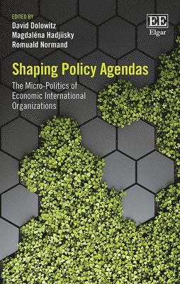 bokomslag Shaping Policy Agendas