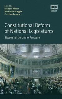 bokomslag Constitutional Reform of National Legislatures