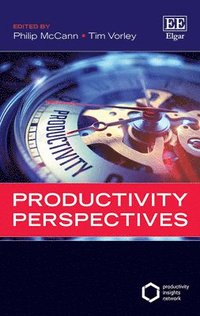 bokomslag Productivity Perspectives