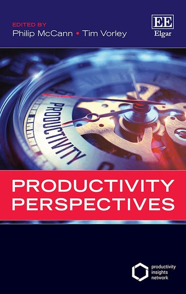 Philip McCann, Tim Vorley - Productivity Perspectives, Häftad