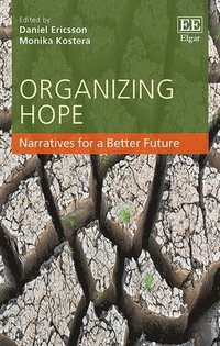 bokomslag Organizing Hope