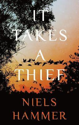 It Takes a Thief 1