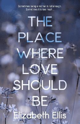 Elizabeth Ellis - Place Where Love Should Be, Häftad
