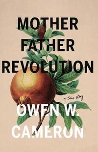 bokomslag Mother Father Revolution
