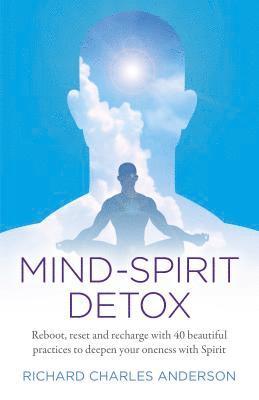 bokomslag Mind-Spirit Detox