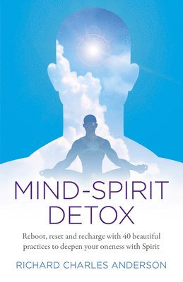 Richard Charles Anderson - Mind-Spirit Detox, Häftad