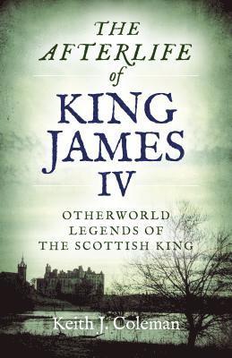bokomslag Afterlife of King James IV, The