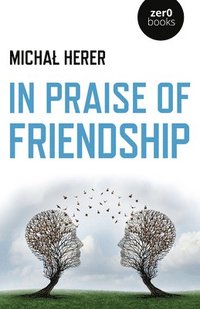 bokomslag In Praise of Friendship
