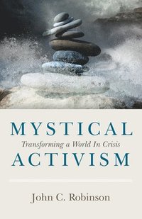 bokomslag Mystical Activism