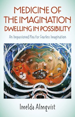 bokomslag Medicine of the Imagination: Dwelling in Possibility
