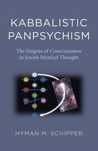 bokomslag Kabbalistic Panpsychism