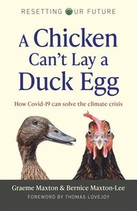 bokomslag Resetting Our Future: A Chicken Cant Lay a Duck Egg