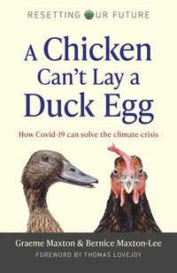 bokomslag Resetting Our Future: A Chicken Can't Lay a Duck Egg