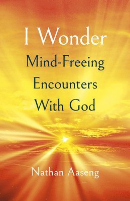 bokomslag I Wonder: Mind-Freeing Encounters With God