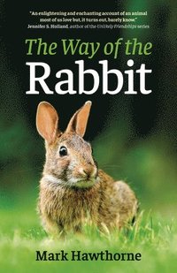bokomslag Way of the Rabbit, The