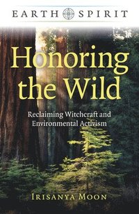 bokomslag Earth Spirit: Honoring the Wild