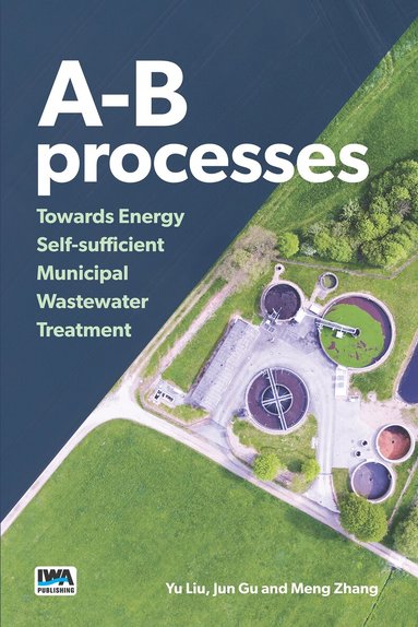 Yu Liu, Jun Gu, Meng Zhang - A-B processes, Häftad