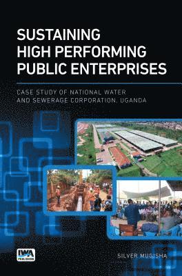 bokomslag Sustaining High Performing Public Enterprises