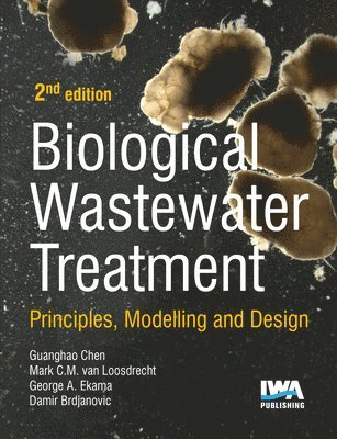 Biological Wastewater Treatment 1