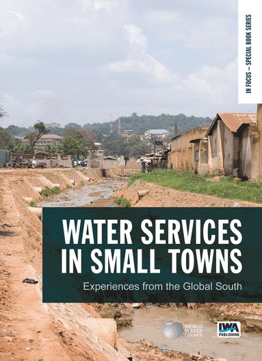 Klaas Schwartz, Mireia Tutusaus - Water Services in Small Towns, Häftad