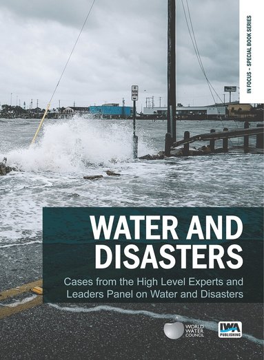 Jerome Delli Priscoli, Kenzo Hiroki - Water and Disasters, Häftad