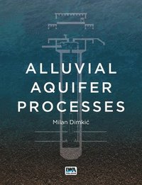 bokomslag Alluvial Aquifer Processes