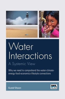 bokomslag Water interactions: A systemic view