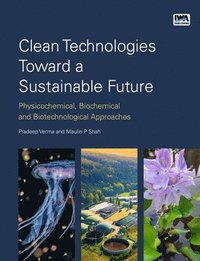 bokomslag Clean Technologies Toward a Sustainable Future