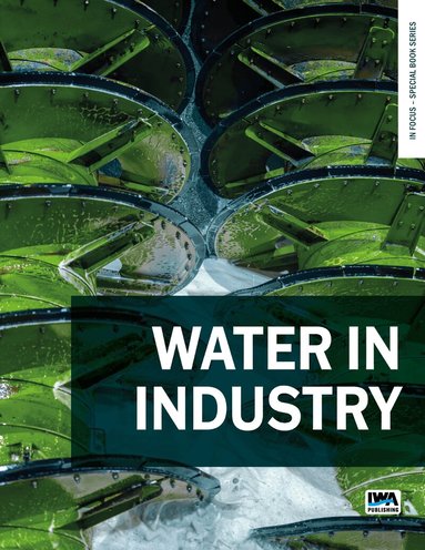 Yongjun Zhang, Sven-Uwe Geissen, Thomas Track - Water in Industry, Häftad
