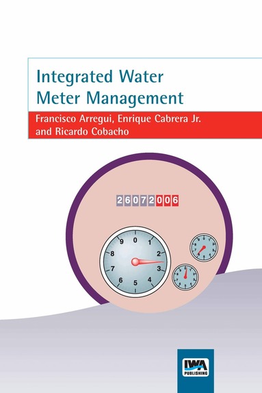 F. Arregui, Enrique Cabrera Jr, R. Cobacho - Integrated Water Meter Management, Häftad
