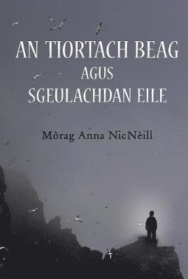 bokomslag An Tiortach Beag agus Sgeulachdan Eile