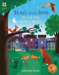bokomslag Seall Agus Inns Dè Chì Thu Anns A' Bhaile