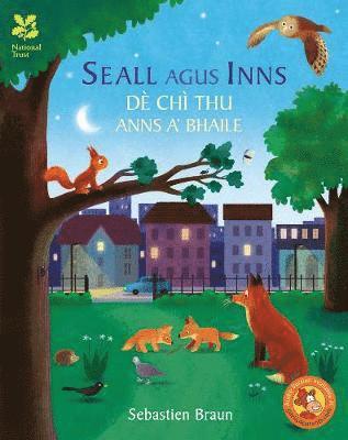 bokomslag Seall Agus Inns Dè Chì Thu Anns A' Bhaile