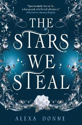 The Stars We Steal 1