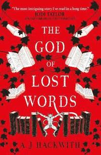 bokomslag The God of Lost Words