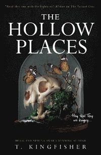 bokomslag The Hollow Places