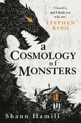 A Cosmology of Monsters 1