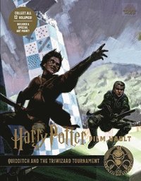 bokomslag Harry Potter: The Film Vault - Volume 7: Quidditch and the Triwizard Tournament
