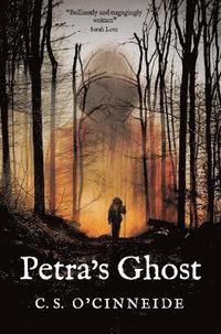 bokomslag Petra's Ghost